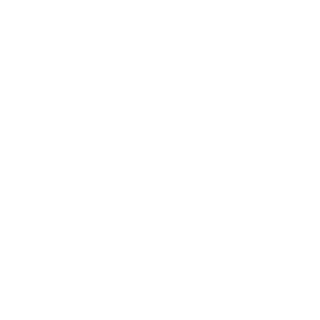Toast Toast